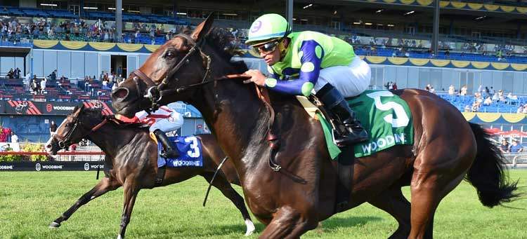 photo of a jockey riding a horse in a race track