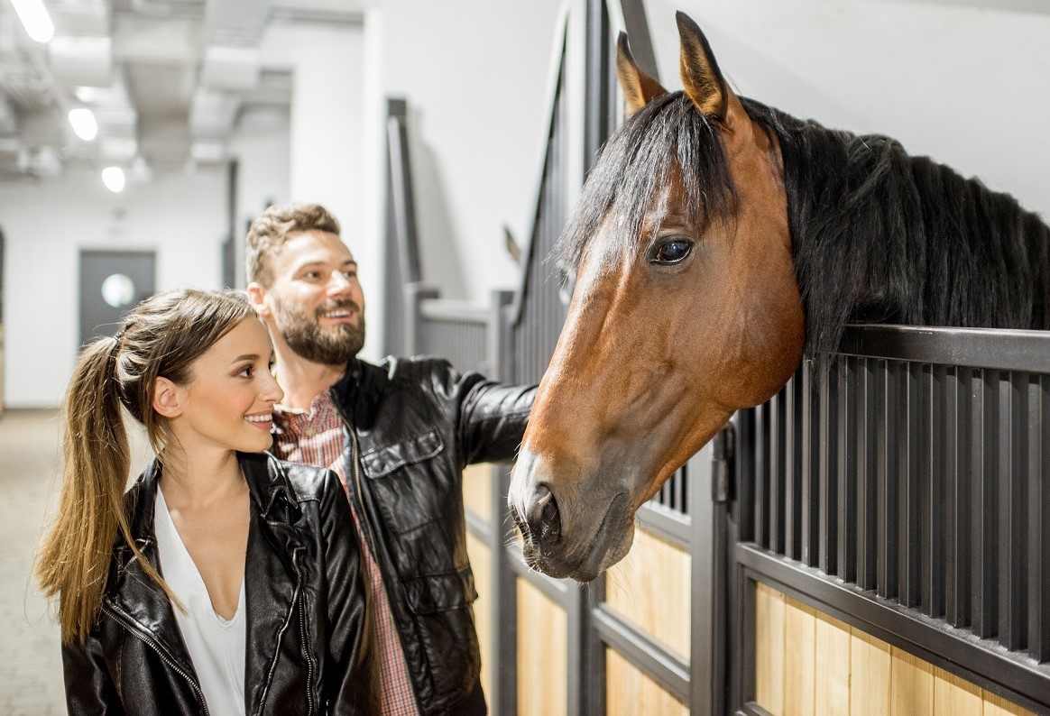 Paddock Tours at Woodbine